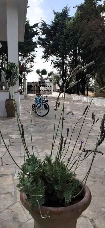 オストゥーニ Al Pineto San Matteoヴィラ エクステリア 写真