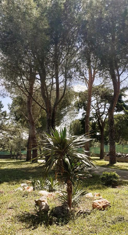 オストゥーニ Al Pineto San Matteoヴィラ エクステリア 写真