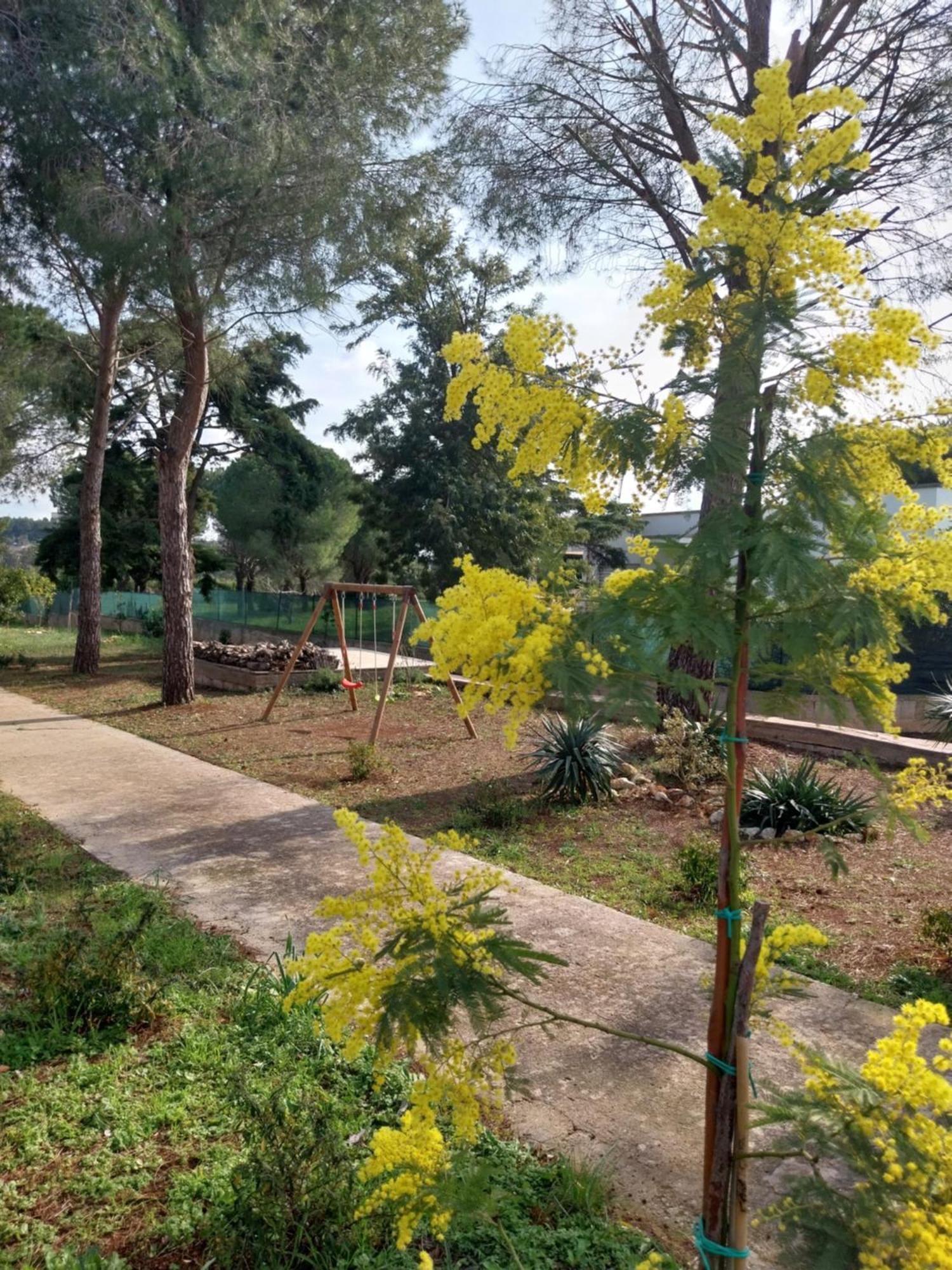 オストゥーニ Al Pineto San Matteoヴィラ エクステリア 写真